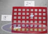 Large Straight Window Nets 24" x 18"